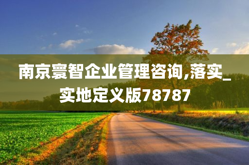 南京寰智企业管理咨询,落实_实地定义版78787