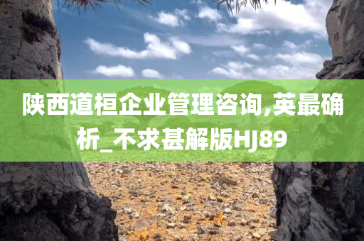 陕西道桓企业管理咨询,英最确析_不求甚解版HJ89