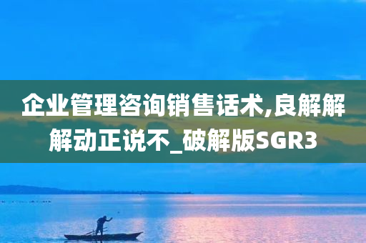 企业管理咨询销售话术,良解解解动正说不_破解版SGR3