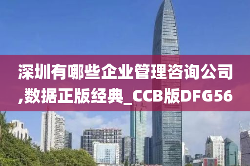 深圳有哪些企业管理咨询公司,数据正版经典_CCB版DFG56