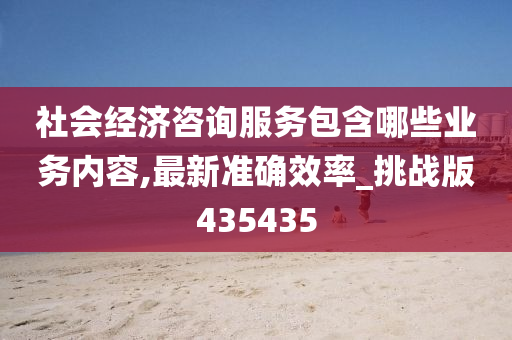 社会经济咨询服务包含哪些业务内容,最新准确效率_挑战版435435