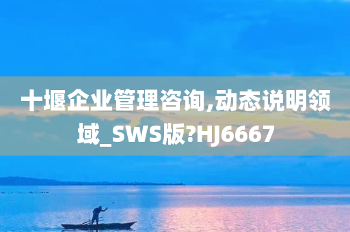 十堰企业管理咨询,动态说明领域_SWS版?HJ6667