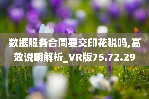 数据服务合同要交印花税吗,高效说明解析_VR版75.72.29