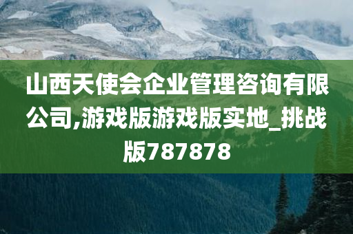 山西天使会企业管理咨询有限公司,游戏版游戏版实地_挑战版787878