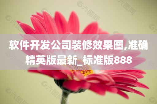 软件开发公司装修效果图,准确精英版最新_标准版888