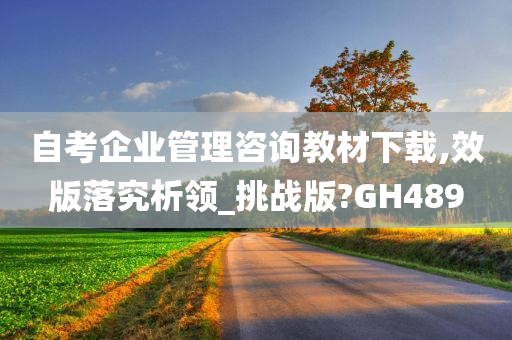 自考企业管理咨询教材下载,效版落究析领_挑战版?GH489