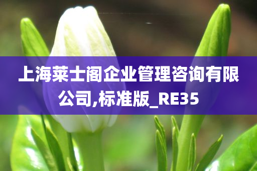 上海莱士阁企业管理咨询有限公司,标准版_RE35