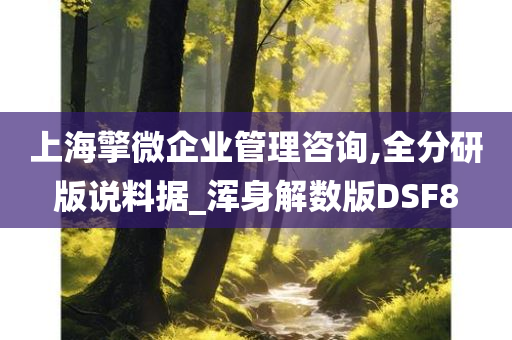 上海擎微企业管理咨询,全分研版说料据_浑身解数版DSF8