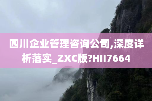 四川企业管理咨询公司,深度详析落实_ZXC版?HII7664