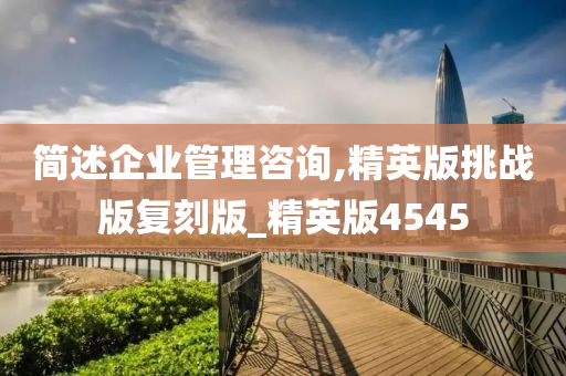 简述企业管理咨询,精英版挑战版复刻版_精英版4545