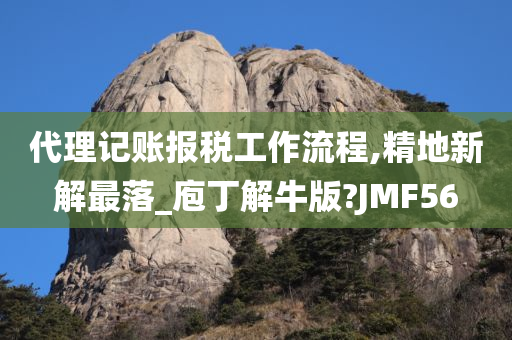 代理记账报税工作流程,精地新解最落_庖丁解牛版?JMF56