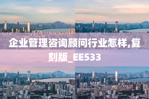 企业管理咨询顾问行业怎样,复刻版_EE533