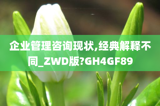 企业管理咨询现状,经典解释不同_ZWD版?GH4GF89