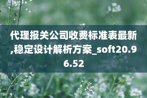 代理报关公司收费标准表最新,稳定设计解析方案_soft20.96.52