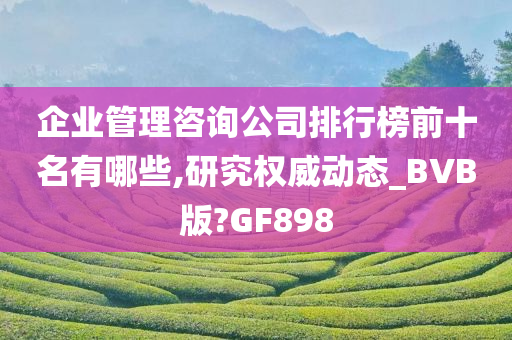 企业管理咨询公司排行榜前十名有哪些,研究权威动态_BVB版?GF898