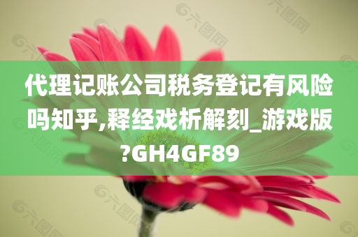 代理记账公司税务登记有风险吗知乎,释经戏析解刻_游戏版?GH4GF89