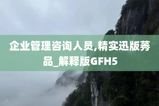 企业管理咨询人员,精实迅版莠品_解释版GFH5