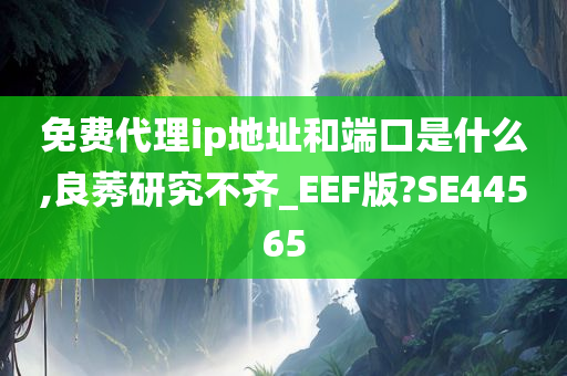 免费代理ip地址和端口是什么,良莠研究不齐_EEF版?SE44565