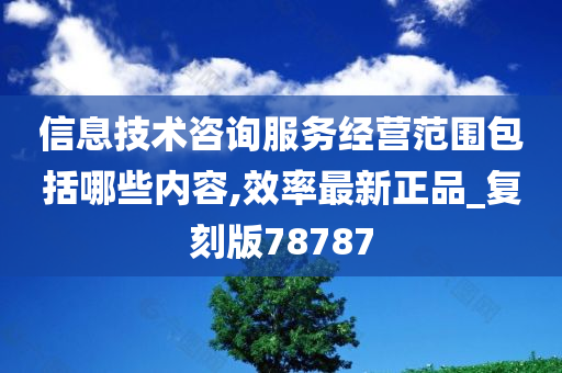 信息技术咨询服务经营范围包括哪些内容,效率最新正品_复刻版78787