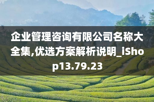 企业管理咨询有限公司名称大全集,优选方案解析说明_iShop13.79.23