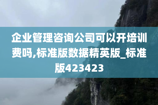 企业管理咨询公司可以开培训费吗,标准版数据精英版_标准版423423