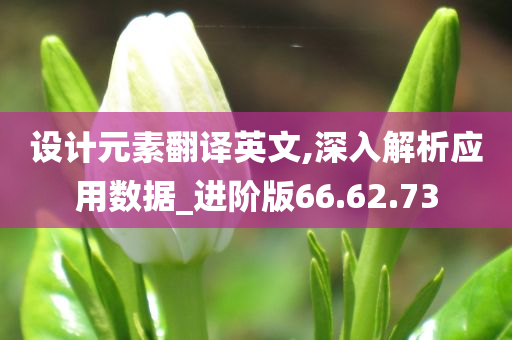 设计元素翻译英文,深入解析应用数据_进阶版66.62.73