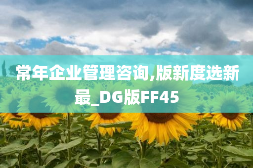 常年企业管理咨询,版新度选新最_DG版FF45