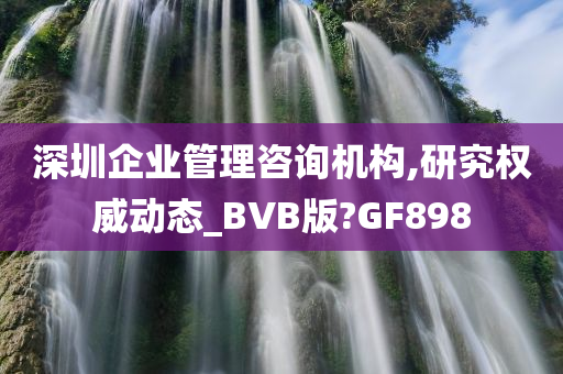 深圳企业管理咨询机构,研究权威动态_BVB版?GF898