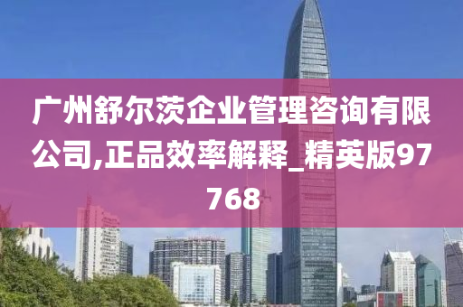 广州舒尔茨企业管理咨询有限公司,正品效率解释_精英版97768