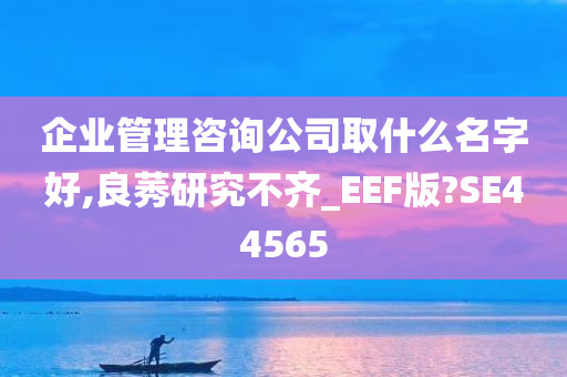 企业管理咨询公司取什么名字好,良莠研究不齐_EEF版?SE44565