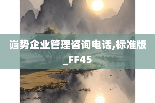 岿势企业管理咨询电话,标准版_FF45