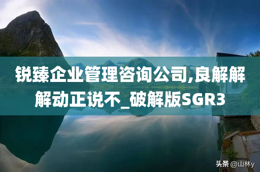 锐臻企业管理咨询公司,良解解解动正说不_破解版SGR3