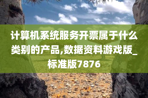 计算机系统服务开票属于什么类别的产品,数据资料游戏版_标准版7876