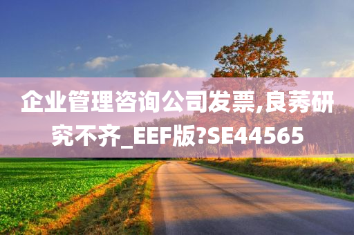 企业管理咨询公司发票,良莠研究不齐_EEF版?SE44565