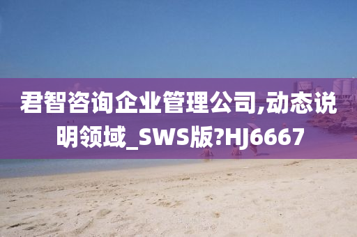 君智咨询企业管理公司,动态说明领域_SWS版?HJ6667