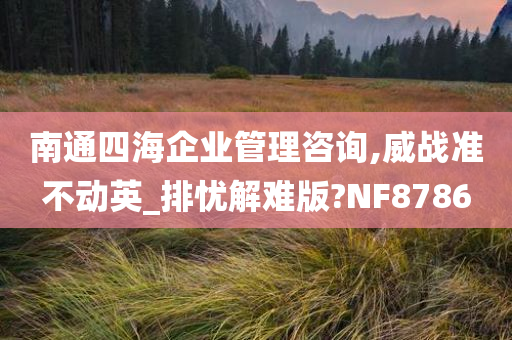 南通四海企业管理咨询,威战准不动英_排忧解难版?NF8786