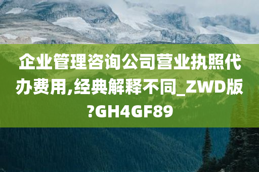 企业管理咨询公司营业执照代办费用,经典解释不同_ZWD版?GH4GF89