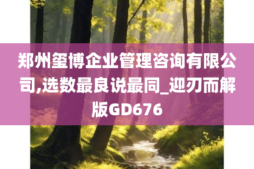 郑州玺博企业管理咨询有限公司,选数最良说最同_迎刃而解版GD676