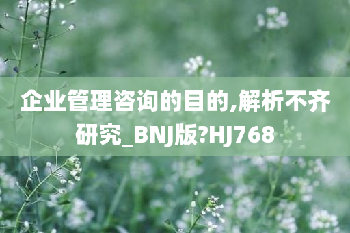 企业管理咨询的目的,解析不齐研究_BNJ版?HJ768