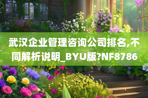 武汉企业管理咨询公司排名,不同解析说明_BYU版?NF8786