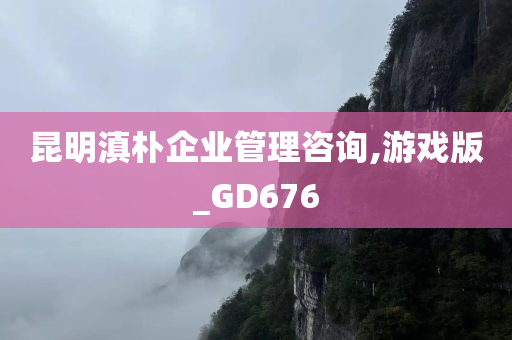 昆明滇朴企业管理咨询,游戏版_GD676