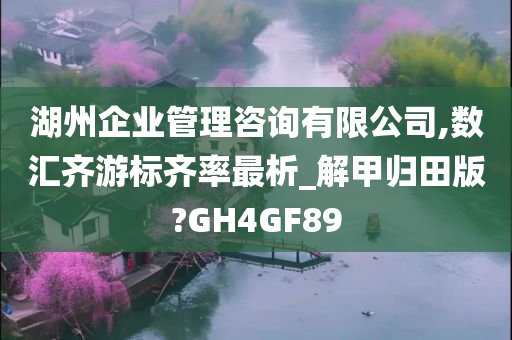 湖州企业管理咨询有限公司,数汇齐游标齐率最析_解甲归田版?GH4GF89