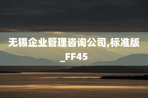 无锡企业管理咨询公司,标准版_FF45