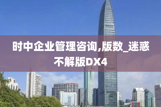 时中企业管理咨询,版数_迷惑不解版DX4