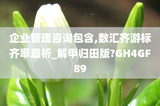 企业管理咨询包含,数汇齐游标齐率最析_解甲归田版?GH4GF89