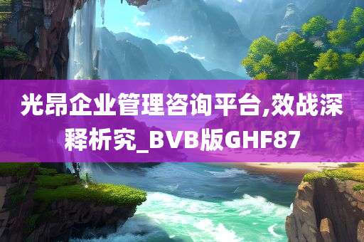 光昂企业管理咨询平台,效战深释析究_BVB版GHF87