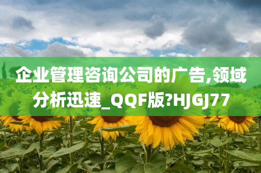 企业管理咨询公司的广告,领域分析迅速_QQF版?HJGJ77