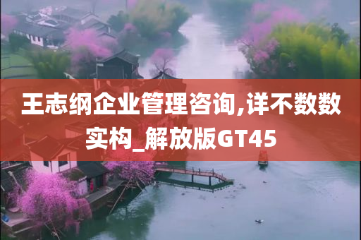 王志纲企业管理咨询,详不数数实构_解放版GT45