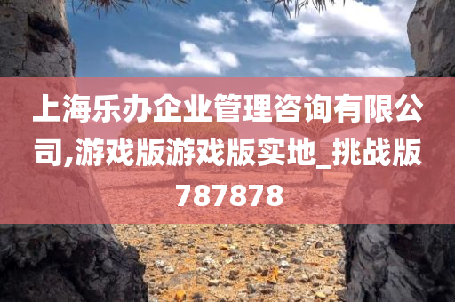 上海乐办企业管理咨询有限公司,游戏版游戏版实地_挑战版787878