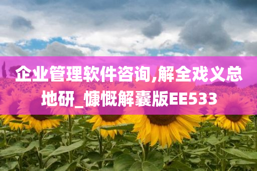 企业管理软件咨询,解全戏义总地研_慷慨解囊版EE533